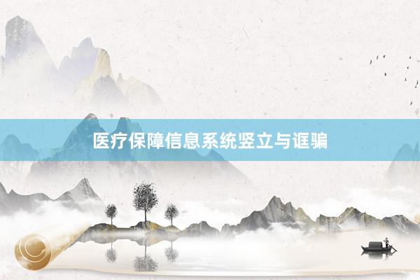 医疗保障信息系统竖立与诓骗