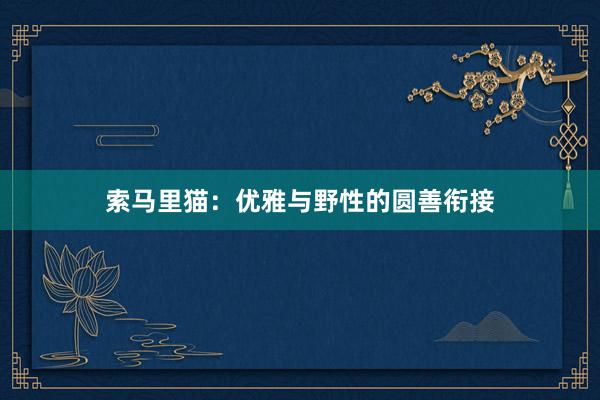 索马里猫：优雅与野性的圆善衔接